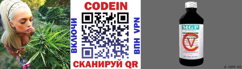 где можно купить наркотик  Новоалтайск  Codein Purple Drank 
