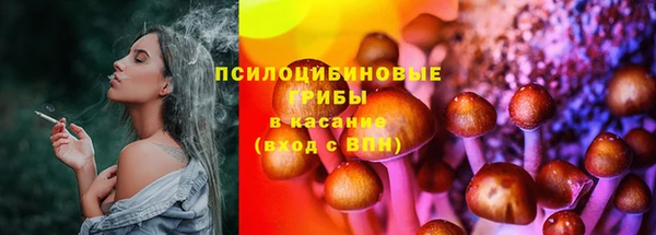 крисы Аркадак