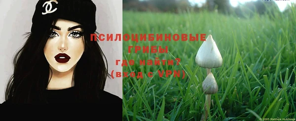 дживик Балахна