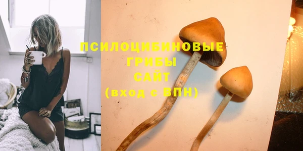 прущий лед Арсеньев