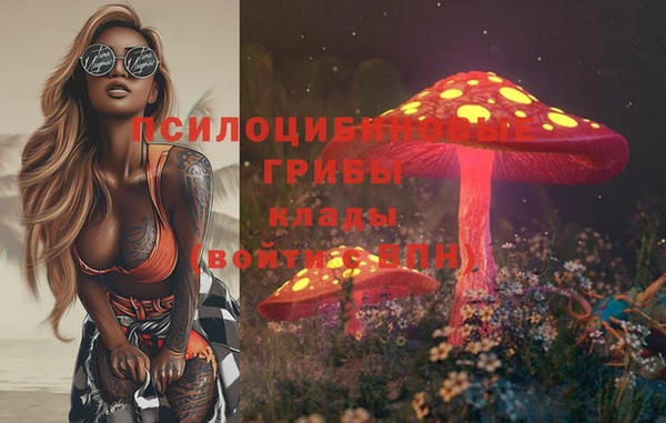 крисы Аркадак