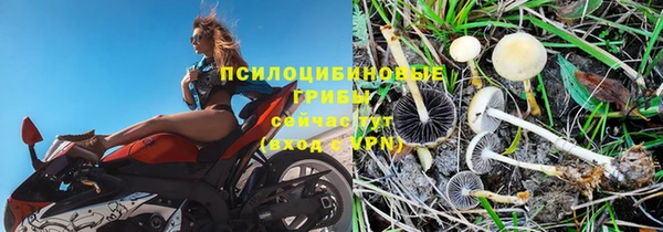прущий лед Арсеньев