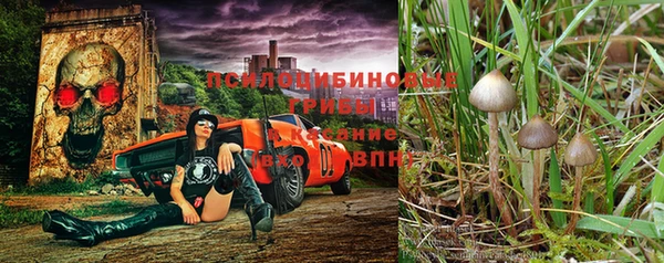 прущий лед Арсеньев