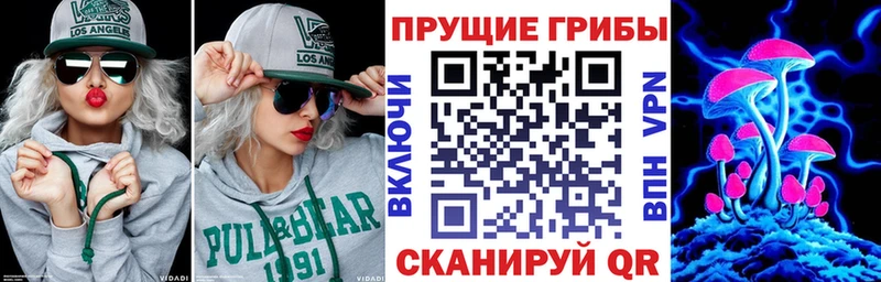 Галлюциногенные грибы Cubensis  Новоалтайск 